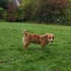 Miro sucht seine Familie ♥