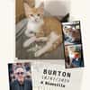 Burton