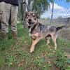 Baster