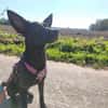 🐾 Ria sucht ihre Menschen