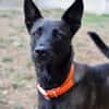 MARLA