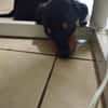LIA, une vraie bouille d'amour