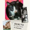 Benito