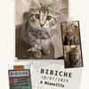 Bibiche