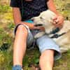 RICCI * Herzenshund für Herzensmensch