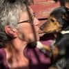 Heidi sucht Menschen mit Terrier Erfahrung