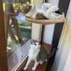 Wendy & Jenny Traumpärchen sucht Traumzuhause