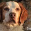 EPY