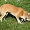 Tini - Herzensfamilie gesucht