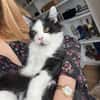 Berlioz