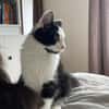 Berlioz