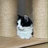 Berlioz
