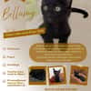 BELLAMY