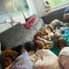 Süße Fine🌺 sucht liebevolles Zuhause