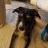 Moxie sucht ihre Familie