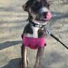 Moxie sucht ihre Familie