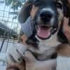 Rudi, liebenswerter kleiner Mann sucht Zuhause