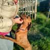 Zara 💝 liebe Hündin auf Pflegestelle in Würzburg