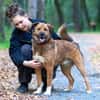 Stattlicher Begleiter mit viel Potenzial: Grisha