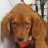 BILBO