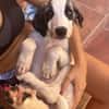 ARES (Martina)