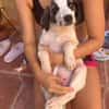 ARES (Martina)