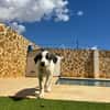 ARES (Martina)