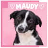 Maudy