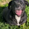 Trudy