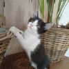 NOUNY