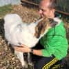 NICA - ganz viel Hund zum lieb haben