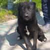 VALERIE - Zuhause gesucht