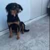 Lotti