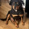 Lotti
