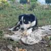 Mia, total verspielt