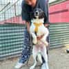 Sensibler Gustav sucht ruhiges Zuhause!