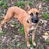 ATHENA ( en cours d'adoption )
