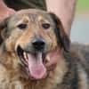 Juni - intelligent u. aufgeweckt