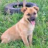 Honey, jung und fröhlich