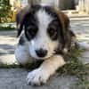 James, jung und noch zu haben