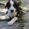 James, jung und noch zu haben