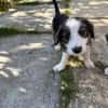 James, jung und noch zu haben