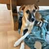 MARJORIE -liebe und verschmuste Seele-