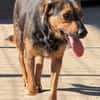 Wundervolle♥Aylini♥wartet 90530 Wendelstein auf ihre Familie
