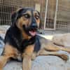 Wundervolle♥Aylini♥wartet 90530 Wendelstein auf ihre Familie