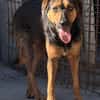 Wundervolle♥Aylini♥wartet 90530 Wendelstein auf ihre Familie
