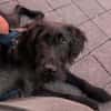 Sunny sucht ihre Familie