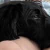 Sunny sucht ihre Familie