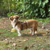 Paula sucht ihre Familie ♥