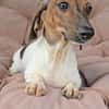 KELLY sucht eine neue Familie!